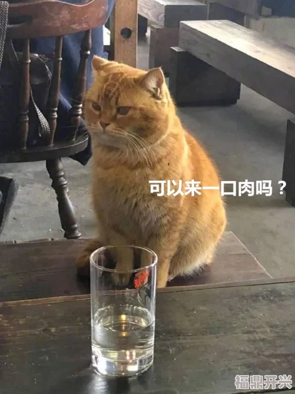 糖心网红柚子猫甘雨，竟然因意外事件引发全网热议，网友惊呼不已！