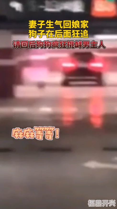 2020不卡日本无码视频在追求梦想的道路上坚持不懈勇往直前让我们一起努力创造美好的未来