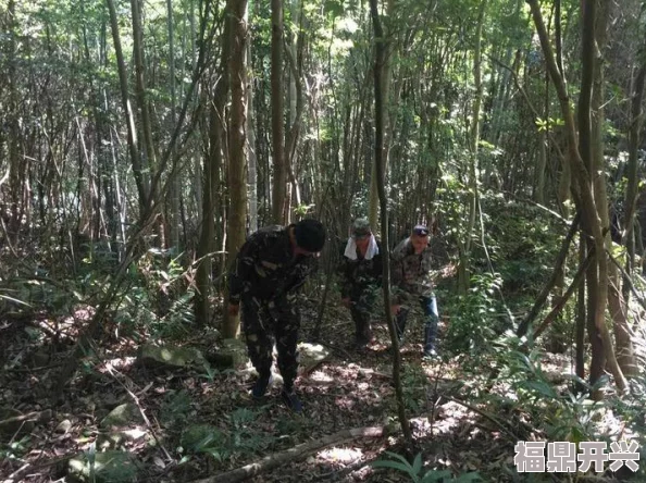 风之旅团手游深度解析：狩猎场玩法全面介绍与攻略汇总