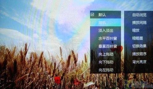 不卡在线中午精品画面清晰流畅，内容丰富多彩，值得推荐观看